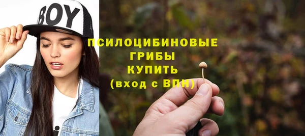 каннабис Дмитров