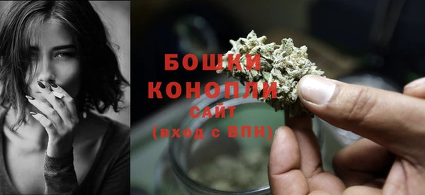 spice Дмитриев