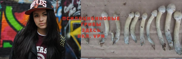 spice Дмитриев