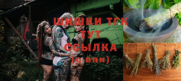 spice Дмитриев