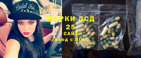 spice Дмитриев