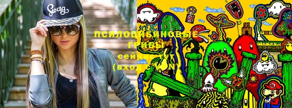 ALPHA-PVP Дмитровск