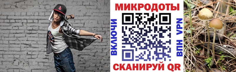 Галлюциногенные грибы мицелий  hydra как войти  Зеленоградск 